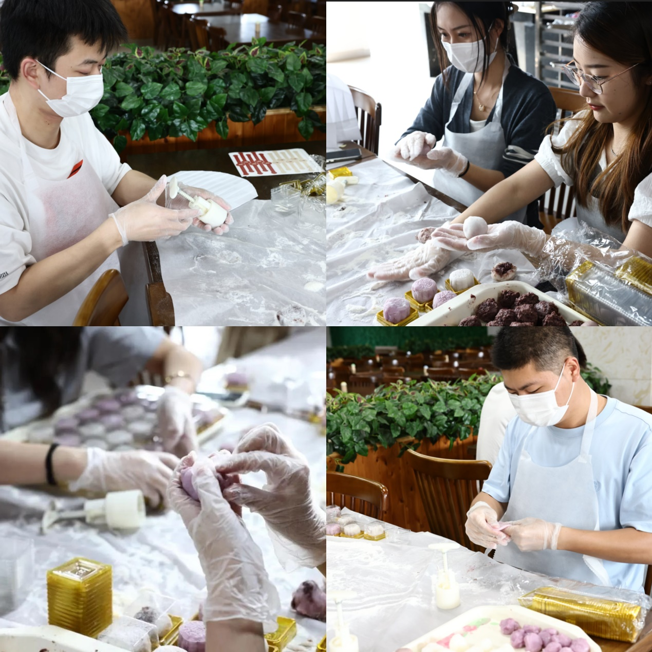 圖片2.png 圖片2.png